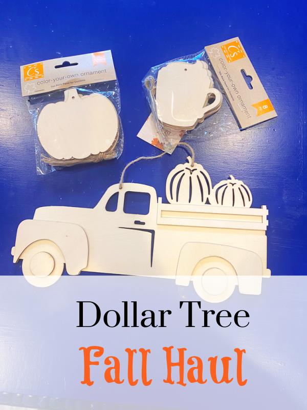 Dollar Tree Fall Haul