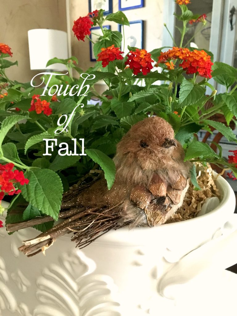 Touch of Fall