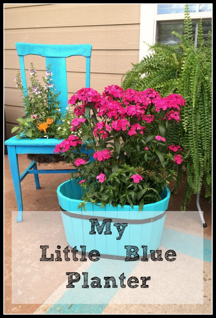 My Little Blue Planter